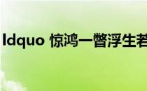 ldquo 惊鸿一瞥浮生若梦 rdquo 是什么意思