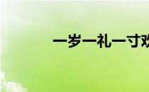 一岁一礼一寸欢喜是什么意思