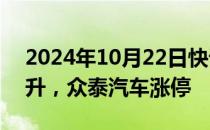 2024年10月22日快讯 汽车整车板块震荡拉升，众泰汽车涨停