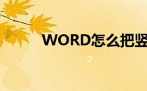 WORD怎么把竖排数字变成横排