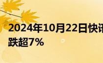 2024年10月22日快讯 北证50指数盘初跳水，跌超7%