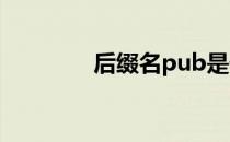 后缀名pub是什么格式文件