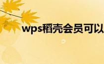 wps稻壳会员可以同时登录几个账号