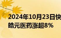 2024年10月23日快讯 CRO板块轮动走高，皓元医药涨超8%