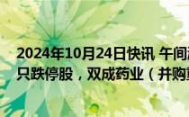 2024年10月24日快讯 午间涨跌停股分析：100只涨停股 1只跌停股，双成药业（并购重组）25天22板