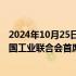 2024年10月25日快讯 国家发展改革委副主任赵辰昕会见德国工业联合会首席执行官格纳