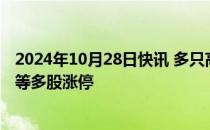 2024年10月28日快讯 多只高位人气股再度爆发，文一科技等多股涨停