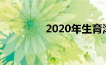 2020年生育津贴发放标准