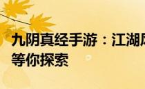 九阴真经手游：江湖风云再启，掌中武侠世界等你探索