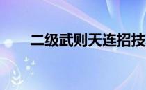 二级武则天连招技巧解析与实战攻略