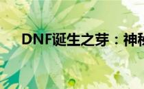 DNF诞生之芽：神秘的道具用途大解析