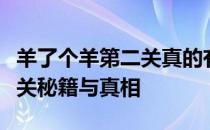 羊了个羊第二关真的有人成功过关吗？揭秘通关秘籍与真相