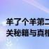 羊了个羊第二关真的有人成功过关吗？揭秘通关秘籍与真相