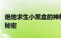 绝地求生小黑盒的神秘魅力：探索游戏内外的秘密