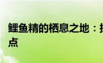 鲤鱼精的栖息之地：探寻最佳的鲤鱼精捕捉地点