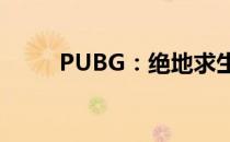 PUBG：绝地求生游戏介绍与解析