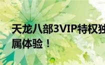 天龙八部3VIP特权独家解析：尊贵身份，专属体验！