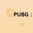 PUBG：绝地求生游戏介绍与解析