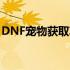 DNF宠物获取攻略：如何轻松获得心仪宠物？