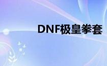 DNF极皇拳套：终极格斗之力