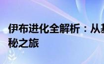 伊布进化全解析：从基础形态到终极进化的神秘之旅