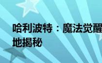 哈利波特：魔法觉醒——三强争霸赛神秘场地揭秘