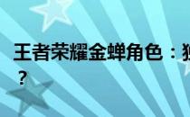 王者荣耀金蝉角色：独自战斗是否算作同阵营？