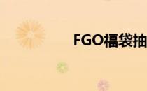 FGO福袋抽奖价格解析