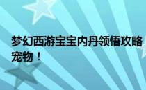 梦幻西游宝宝内丹领悟攻略：提升领悟效率，轻松培养强力宠物！