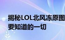 揭秘LOL北风冻原图奇皮肤价格——你所需要知道的一切