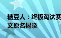 糖豆人：终极淘汰赛——精彩游戏名称的英文原名揭晓