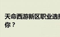 天命西游新区职业选择指南：哪个职业最适合你？