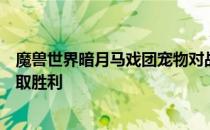 魔兽世界暗月马戏团宠物对战攻略：掌握战斗技巧，轻松赢取胜利