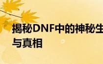 揭秘DNF中的神秘生物：白兔子背后的故事与真相