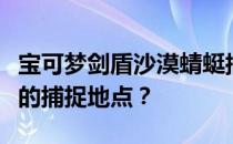 宝可梦剑盾沙漠蜻蜓捕捉攻略：如何找到最棒的捕捉地点？