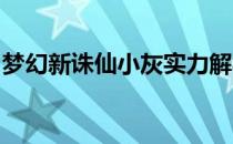 梦幻新诛仙小灰实力解析：厉害角色深度剖析