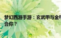 梦幻西游手游：玄武甲与金甲仙衣的对比指南——哪个更适合你？