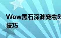 Wow黑石深渊宠物对战攻略：玩转宠物战斗技巧