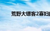 荒野大镖客2寡妇的孤独与坚韧之旅