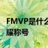 FMVP是什么意思？全面解析篮球赛场上的荣耀称号