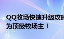 QQ牧场快速升级攻略：掌握这些方法让你成为顶级牧场主！