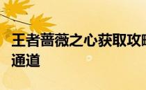 王者蔷薇之心获取攻略：解锁独特魅力的秘密通道