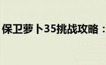 保卫萝卜35挑战攻略：轻松通关秘籍大揭秘！