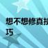 想不想修真技能攻略手册：攻略大全与实用技巧