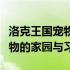 洛克王国宠物分布全解析：了解王国中各类宠物的家园与习性